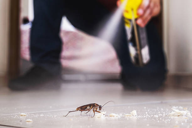 Best Pest Control Near Me in Brooklyn, OH